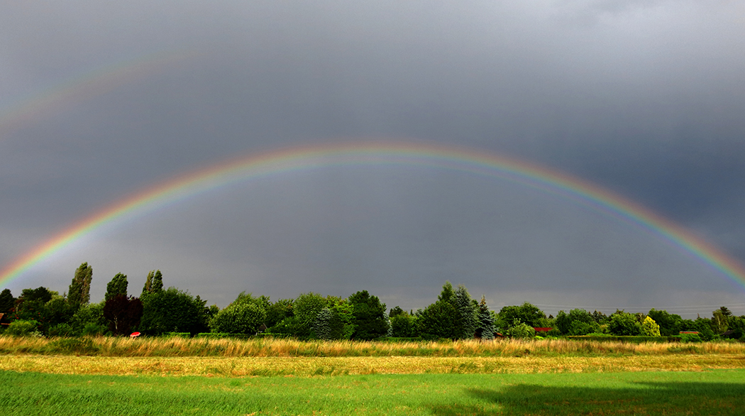 Regenbogen